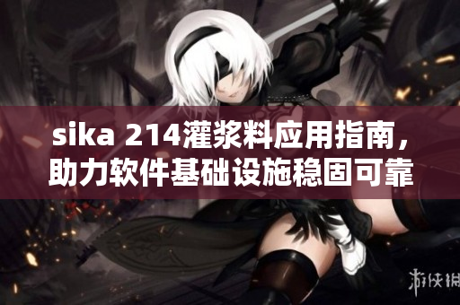 sika 214灌漿料應(yīng)用指南，助力軟件基礎(chǔ)設(shè)施穩(wěn)固可靠