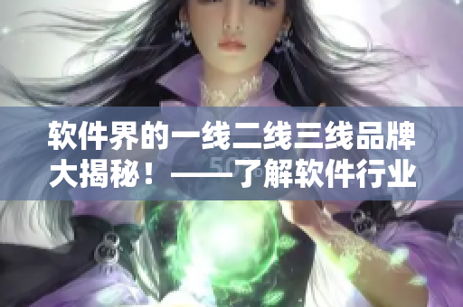 軟件界的一線二線三線品牌大揭秘！——了解軟件行業(yè)中品牌排名的秘密