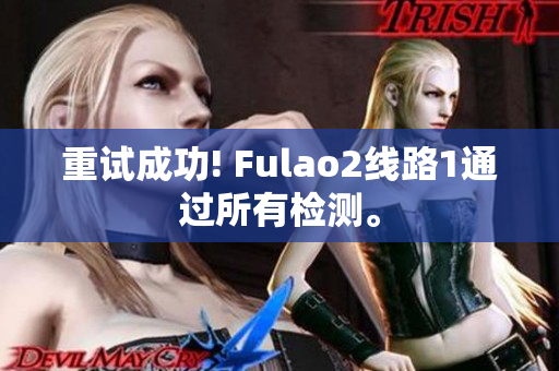重試成功! Fulao2線路1通過(guò)所有檢測(cè)。