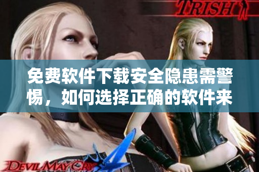 免費(fèi)軟件下載安全隱患需警惕，如何選擇正確的軟件來源提升安全保障