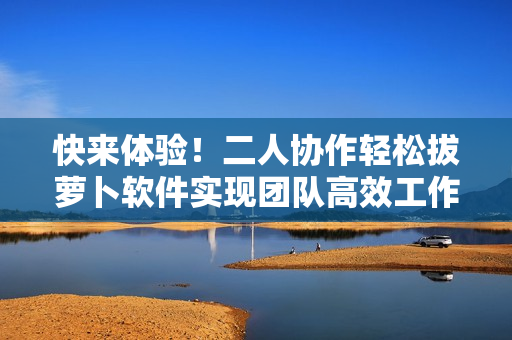 快來體驗！二人協(xié)作輕松拔蘿卜軟件實現(xiàn)團隊高效工作