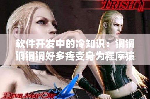 軟件開發(fā)中的冷知識(shí)：銅銅銅銅銅好多疼變身為程序猿的必備技能