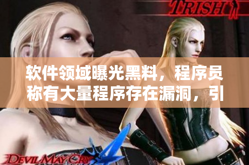 軟件領(lǐng)域曝光黑料，程序員稱有大量程序存在漏洞，引發(fā)熱議