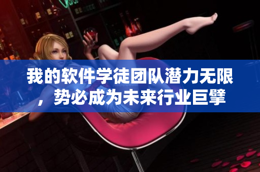 我的軟件學徒團隊潛力無限，勢必成為未來行業(yè)巨擘