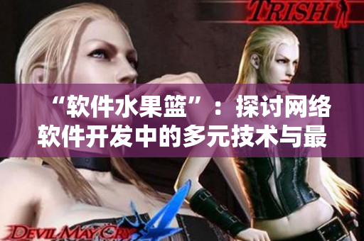 “軟件水果籃”：探討網(wǎng)絡(luò)軟件開發(fā)中的多元技術(shù)與最佳實踐