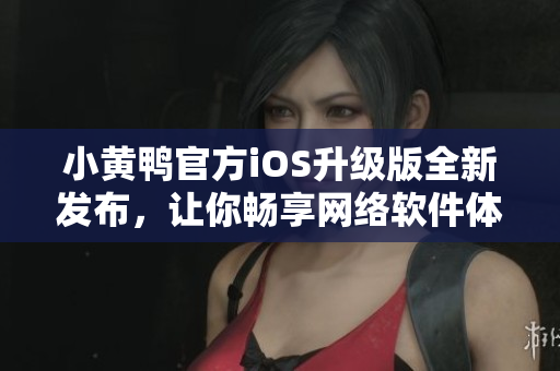 小黃鴨官方iOS升級(jí)版全新發(fā)布，讓你暢享網(wǎng)絡(luò)軟件體驗(yàn)