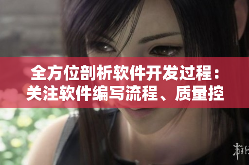 全方位剖析軟件開發(fā)過程：關(guān)注軟件編寫流程、質(zhì)量控制和技術(shù)實踐