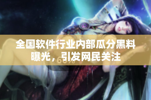 全國(guó)軟件行業(yè)內(nèi)部瓜分黑料曝光，引發(fā)網(wǎng)民關(guān)注