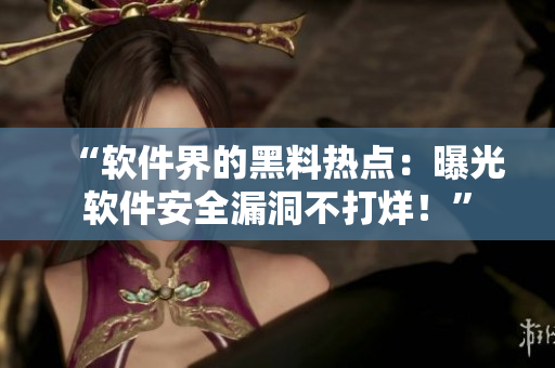 “軟件界的黑料熱點：曝光軟件安全漏洞不打烊！”