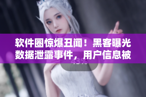軟件圈驚爆丑聞！黑客曝光數(shù)據(jù)泄露事件，用戶信息被公開售賣！
