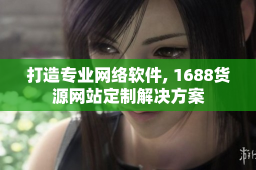 打造專業(yè)網(wǎng)絡軟件, 1688貨源網(wǎng)站定制解決方案