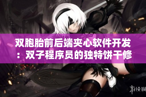 雙胞胎前后端夾心軟件開發(fā)：雙子程序員的獨(dú)特餅干修煉