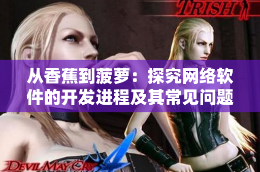 從香蕉到菠蘿：探究網(wǎng)絡(luò)軟件的開發(fā)進程及其常見問題