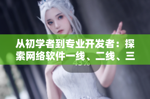 從初學者到專業(yè)開發(fā)者：探索網(wǎng)絡軟件一線、二線、三線品牌