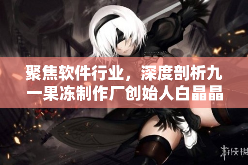 聚焦軟件行業(yè)，深度剖析九一果凍制作廠創(chuàng)始人白晶晶的個(gè)人履歷