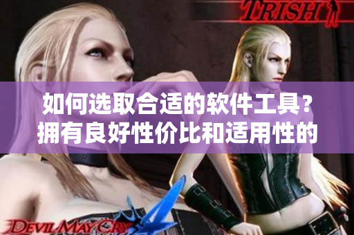 如何選取合適的軟件工具？擁有良好性價比和適用性的建議