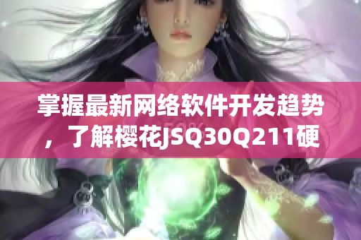 掌握最新網(wǎng)絡(luò)軟件開發(fā)趨勢(shì)，了解櫻花JSQ30Q211硬件與軟件技術(shù)