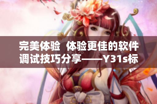 完美體驗  體驗更佳的軟件調(diào)試技巧分享——Y31s標準版視頻解析