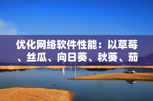 優(yōu)化網(wǎng)絡(luò)軟件性能：以草莓、絲瓜、向日葵、秋葵、茄子為例的技巧與實踐
