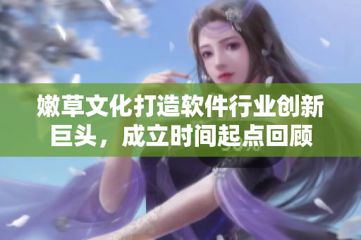 嫩草文化打造軟件行業(yè)創(chuàng)新巨頭，成立時間起點回顧