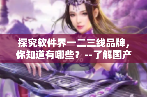 探究軟件界一二三線品牌，你知道有哪些？--了解國產(chǎn)軟件品牌排名