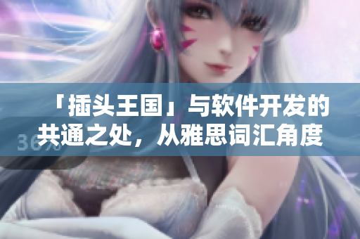 「插頭王國(guó)」與軟件開(kāi)發(fā)的共通之處，從雅思詞匯角度分析
