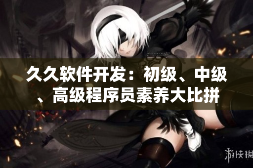 久久軟件開發(fā)：初級(jí)、中級(jí)、高級(jí)程序員素養(yǎng)大比拼