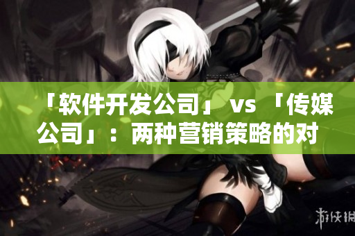 「軟件開(kāi)發(fā)公司」 vs 「?jìng)髅焦尽梗簝煞N營(yíng)銷(xiāo)策略的對(duì)比