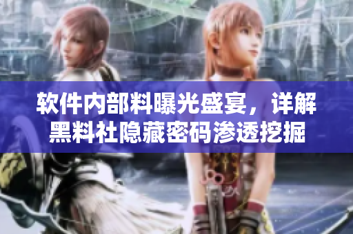 軟件內(nèi)部料曝光盛宴，詳解黑料社隱藏密碼滲透挖掘