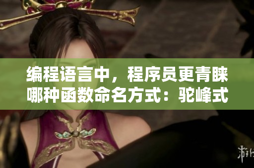 編程語言中，程序員更青睞哪種函數(shù)命名方式：駝峰式還是下劃線分隔？