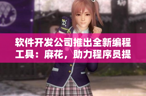 軟件開發(fā)公司推出全新編程工具：麻花，助力程序員提高效率