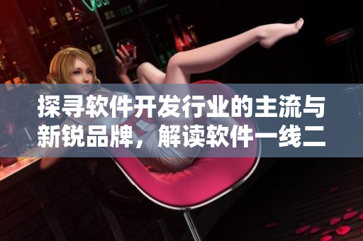 探尋軟件開發(fā)行業(yè)的主流與新銳品牌，解讀軟件一線二線三線新格局