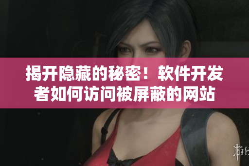 揭開(kāi)隱藏的秘密！軟件開(kāi)發(fā)者如何訪問(wèn)被屏蔽的網(wǎng)站