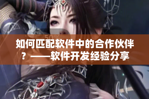 如何匹配軟件中的合作伙伴？——軟件開發(fā)經(jīng)驗分享