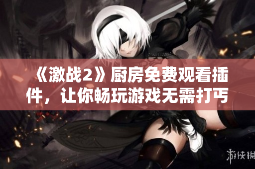 《激戰(zhàn)2》廚房免費觀看插件，讓你暢玩游戲無需打丐賽