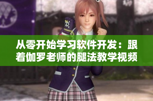 從零開始學(xué)習(xí)軟件開發(fā)：跟著伽羅老師的腿法教學(xué)視頻入門編程！