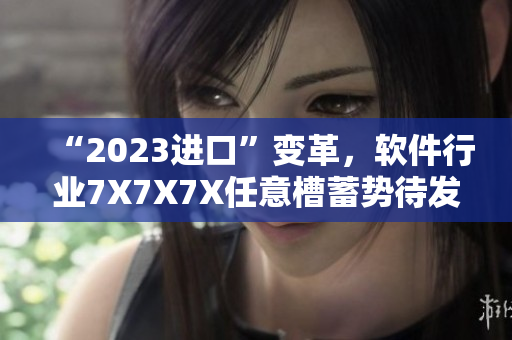 “2023進口”變革，軟件行業(yè)7X7X7X任意槽蓄勢待發(fā)