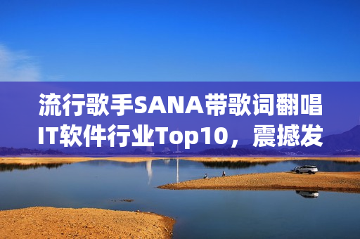 流行歌手SANA帶歌詞翻唱IT軟件行業(yè)Top10，震撼發(fā)布！