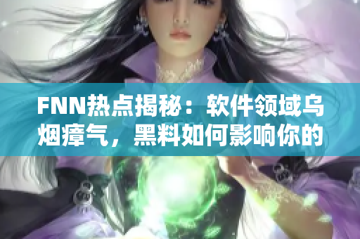 FNN熱點(diǎn)揭秘：軟件領(lǐng)域?yàn)鯚熣螝?，黑料如何影響你的電腦安全？