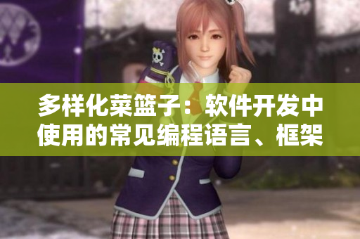 多樣化菜籃子：軟件開發(fā)中使用的常見編程語言、框架及工具一覽