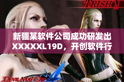 新疆某軟件公司成功研發(fā)出XXXXXL19D，開創(chuàng)軟件行業(yè)全新模式