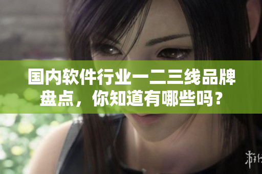 國內(nèi)軟件行業(yè)一二三線品牌盤點，你知道有哪些嗎？