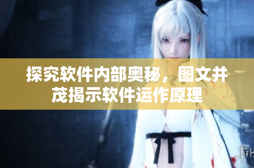 探究軟件內(nèi)部奧秘，圖文并茂揭示軟件運(yùn)作原理