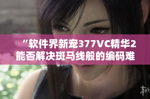 “軟件界新寵377VC精華2能否解決斑馬線般的編碼難題？”