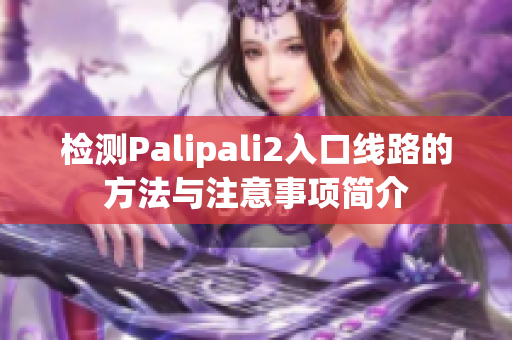 檢測Palipali2入口線路的方法與注意事項簡介