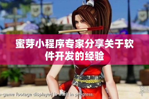 蜜芽小程序?qū)＜曳窒黻P(guān)于軟件開發(fā)的經(jīng)驗(yàn)