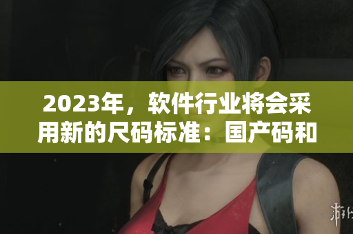 2023年，軟件行業(yè)將會采用新的尺碼標準：國產(chǎn)碼和歐洲碼表解析。
