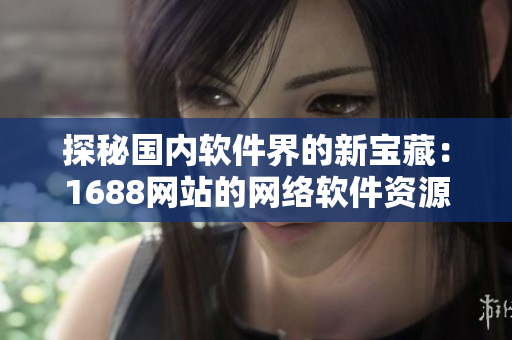 探秘國內(nèi)軟件界的新寶藏：1688網(wǎng)站的網(wǎng)絡(luò)軟件資源