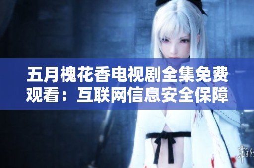五月槐花香電視劇全集免費觀看：互聯(lián)網(wǎng)信息安全保障軟件解析