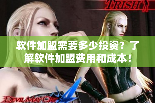 軟件加盟需要多少投資？了解軟件加盟費用和成本！